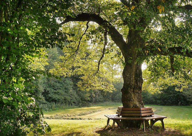 Be still, and know that I am God: I will be exalted among the heathen, I will be exalted in the earth. Psalm 46:10